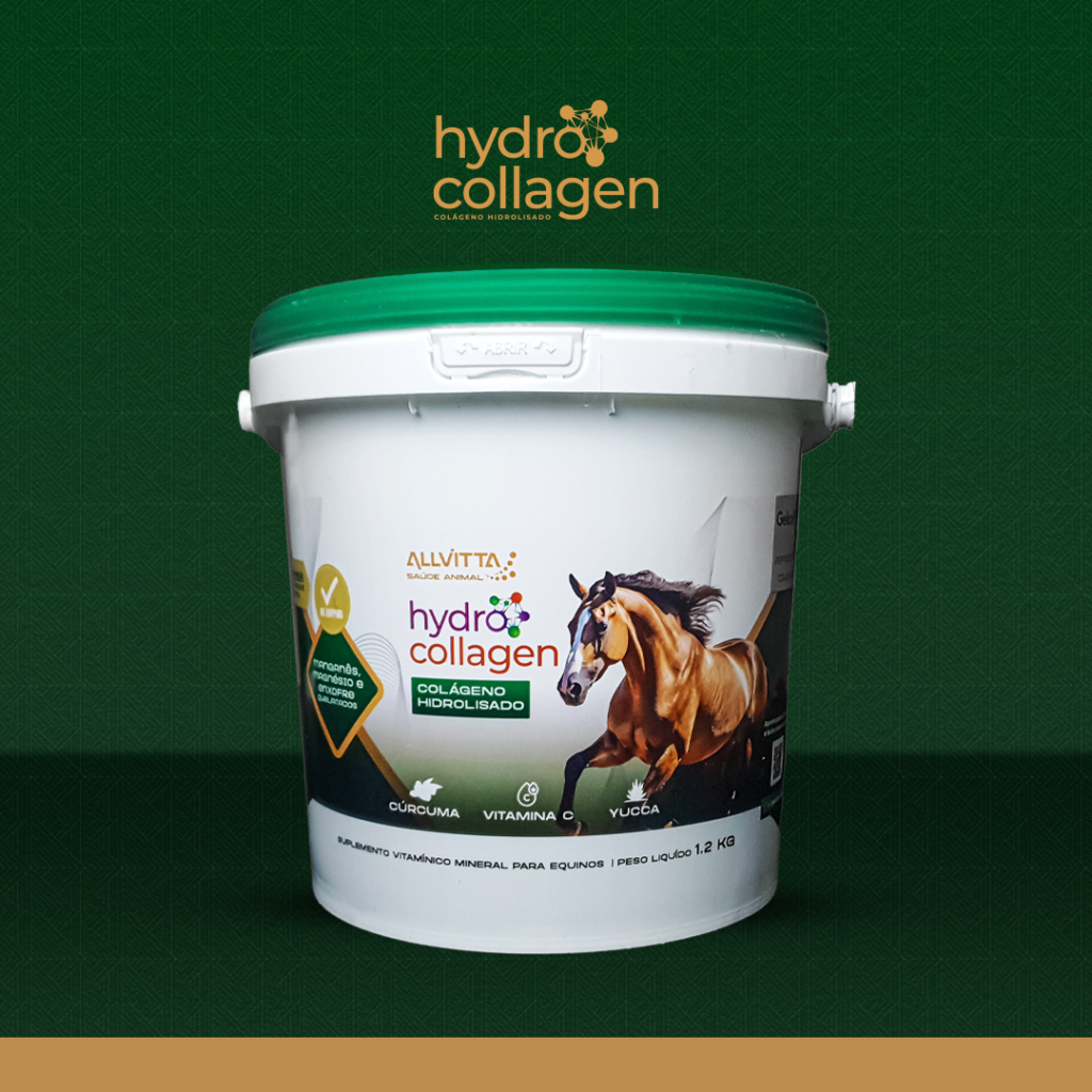 Hydrocollagen Equus